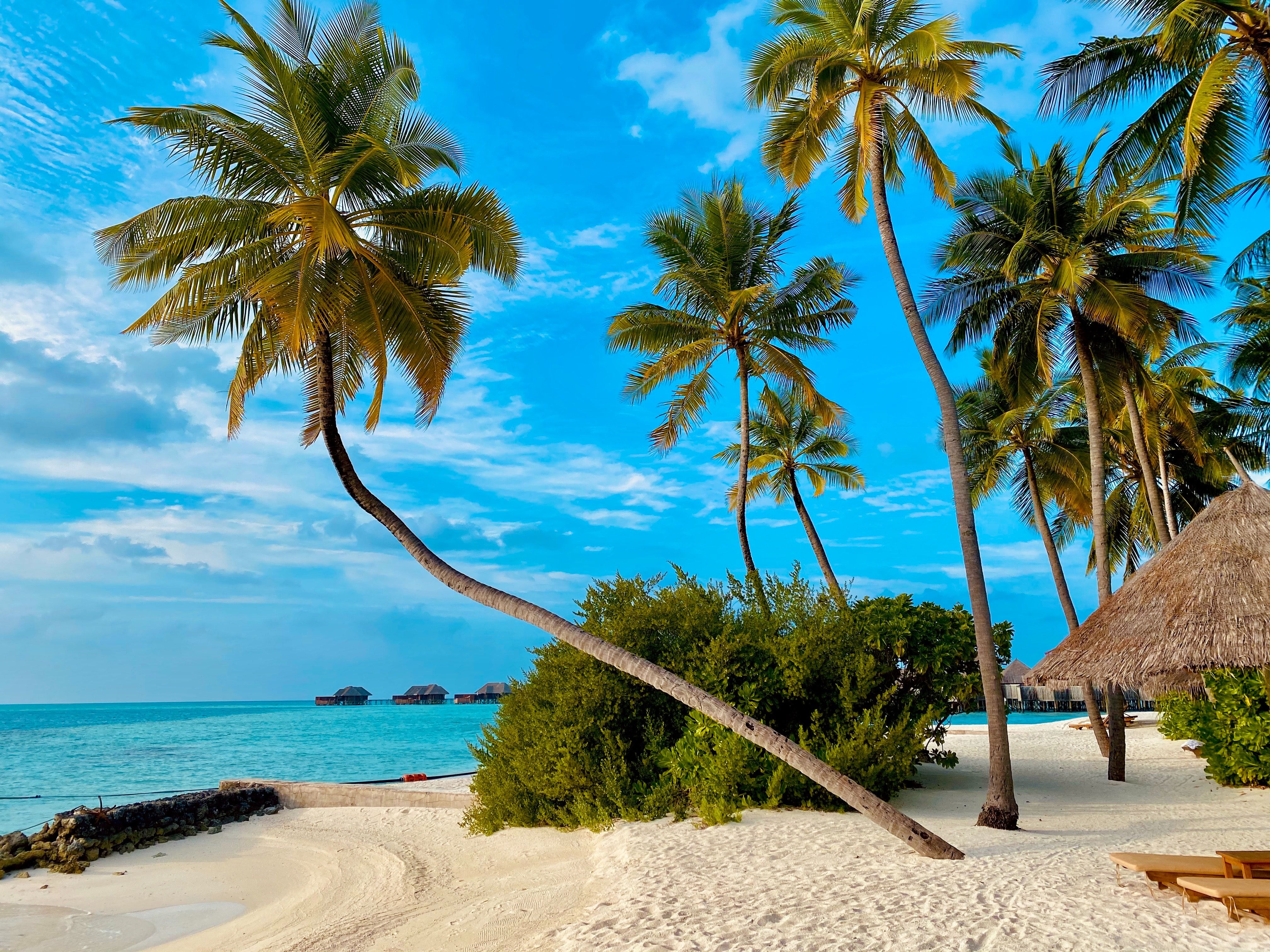 Maldives resort dining and lagoon view for travellers from South India