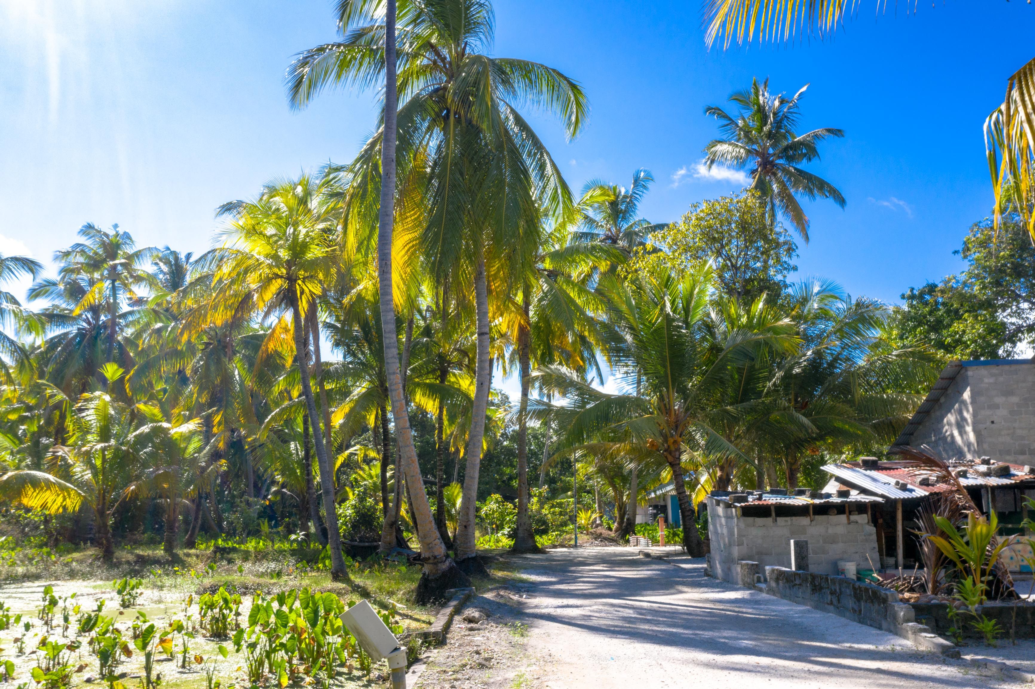 Maldives local island beach representing affordable Maldives travel