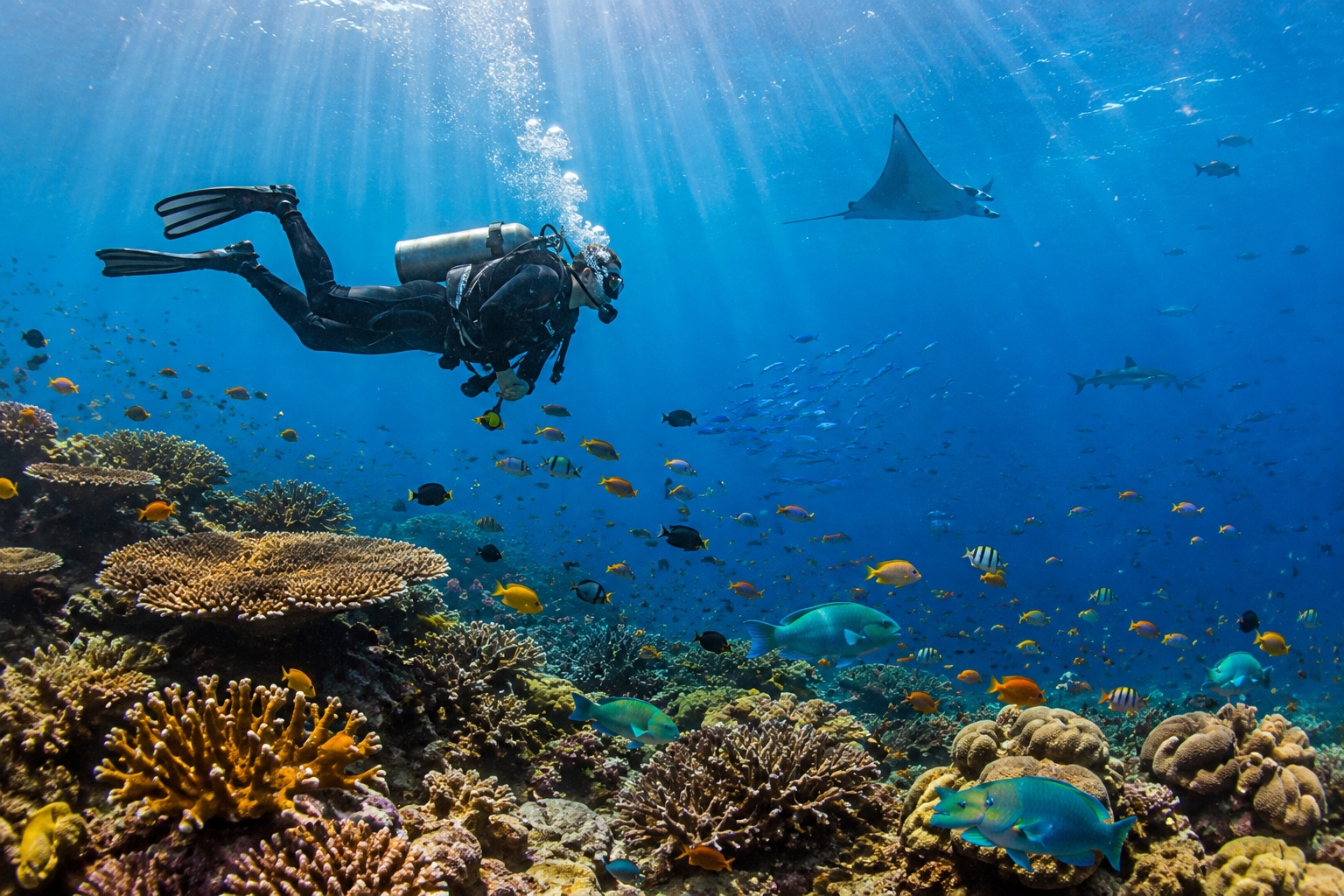 Scuba diving